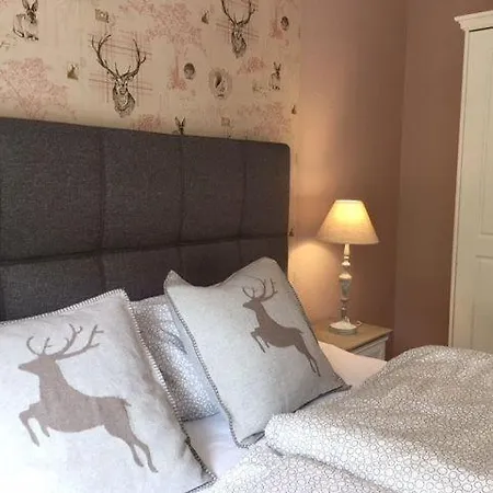 Familien-nest-sehnsucht-harz Apartment Goslar