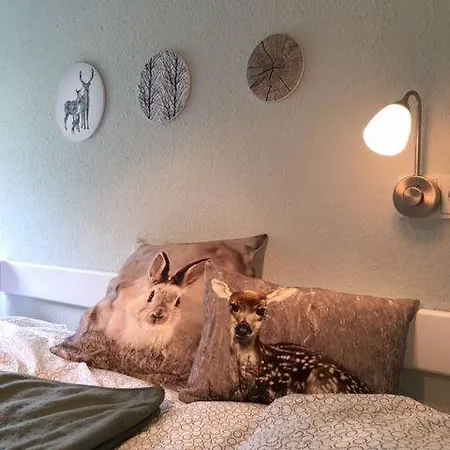Familien-nest-sehnsucht-harz Appartamento