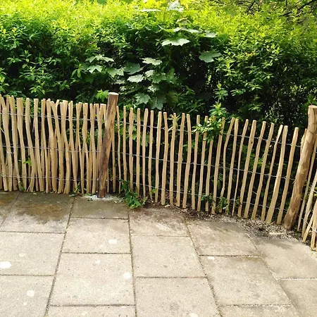 Familien-nest-sehnsucht-harz Goslar